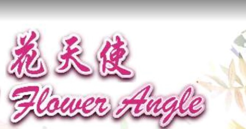 澳门花店: 花天使 Flower Angle