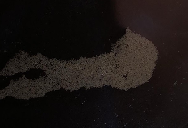 澳門24小時餐廳: (宵夜) 金枝魚葉