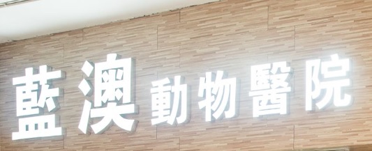 澳門24小時寵物診所: 藍澳動物醫院 - 澳門