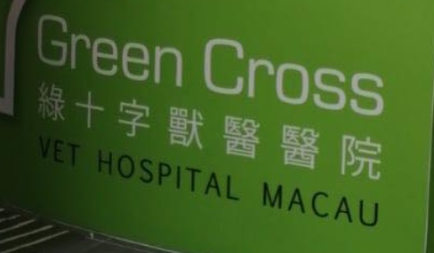 澳門24小時寵物診所: 綠十字獸醫醫院 Green Cross Vet Hospital (龍鷹大廈)