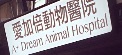 澳門24小時寵物診所: 愛加倍動物醫院 A+ Dream animal hospital
