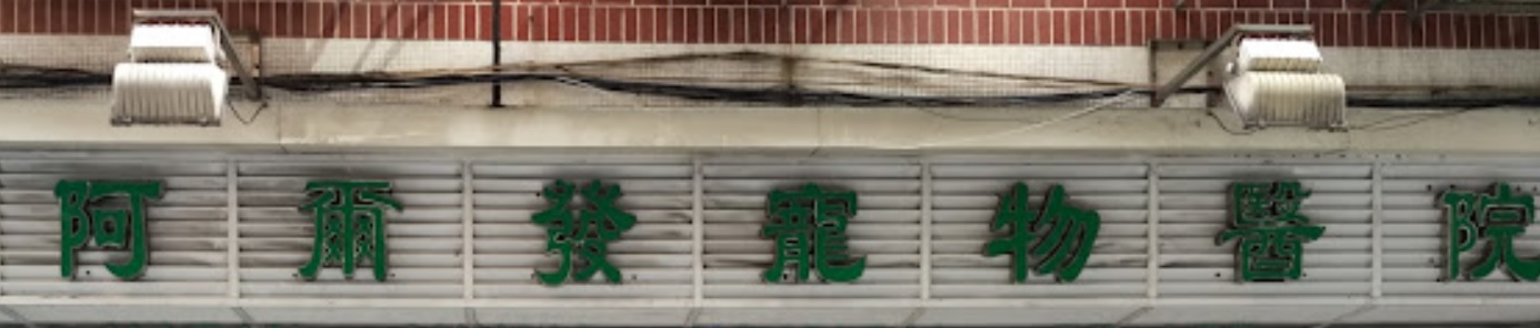 澳門24小時寵物診所: 阿爾發寵物醫院