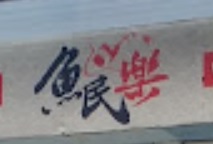 澳門寵物店: 魚民樂水族