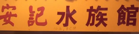 澳门宠物店: 安記水族館