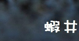 澳门宠物店: 蝦井汸