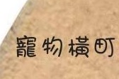 澳門寵物店: 寵物橫町