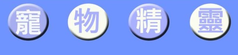 澳門寵物店: 寵物精靈 Cute Pet