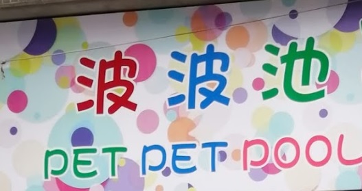澳門寵物店: 波波池寵物店 Pet Pet Pool