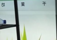 澳門花店: 千葉坊 - 網上花店