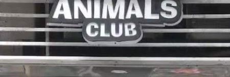 澳门宠物店: 寵物俱樂部 Animals Club (美容酒店)