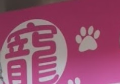 澳门宠物店: 寵