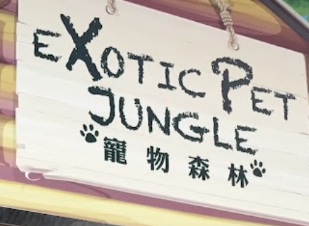 澳门宠物店: Exotic pet jungle 寵物森林