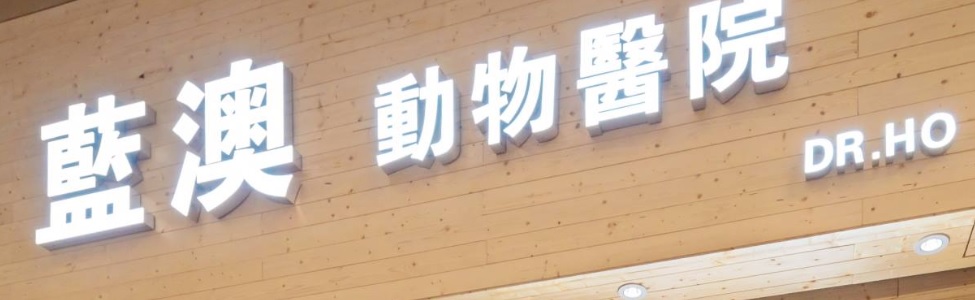 澳门宠物店: 藍澳動物醫院 (24 小時營業)