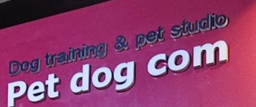 澳門寵物店: Pet dog com